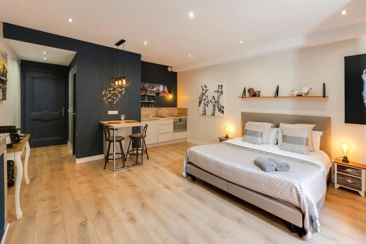 Charming Studio In The Heart Of The Pedestrian Area Annecy Apartment