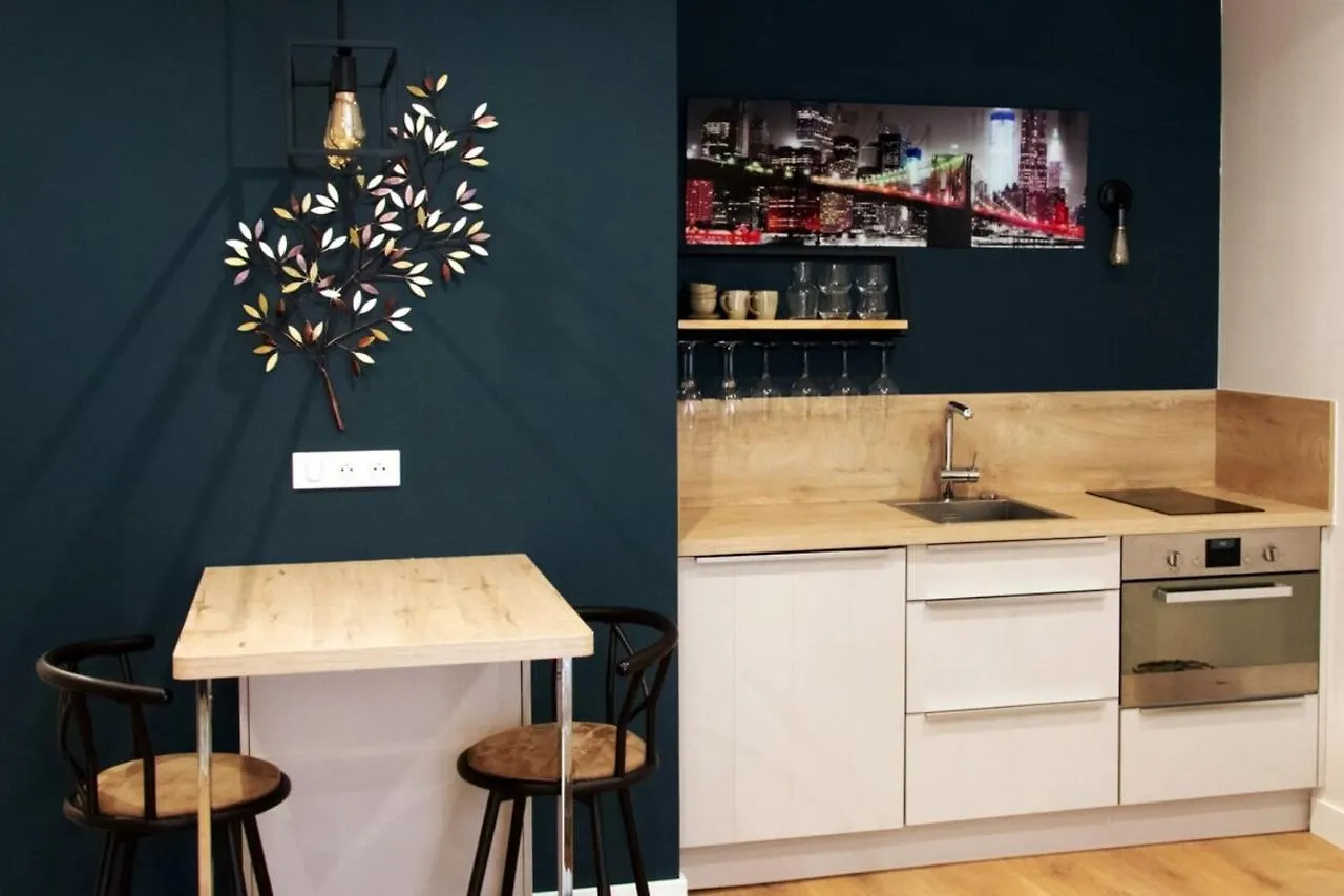 Charming Studio In The Heart Of The Pedestrian Area Annecy